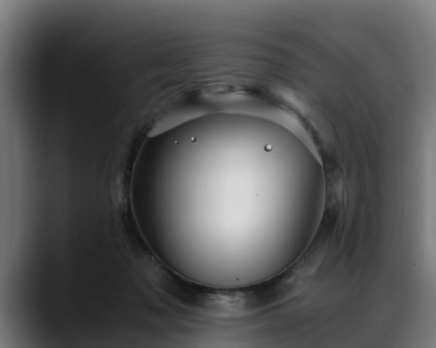 X0000088460317200705291535