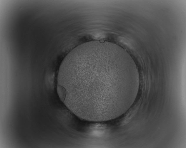 X0000088460319200705291535