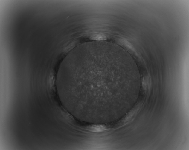 X0000088460322200705291535