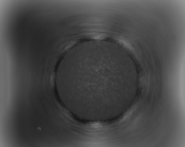 X0000088460325200705291535