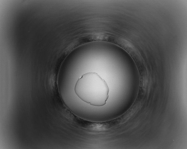 X0000088460326200705291535