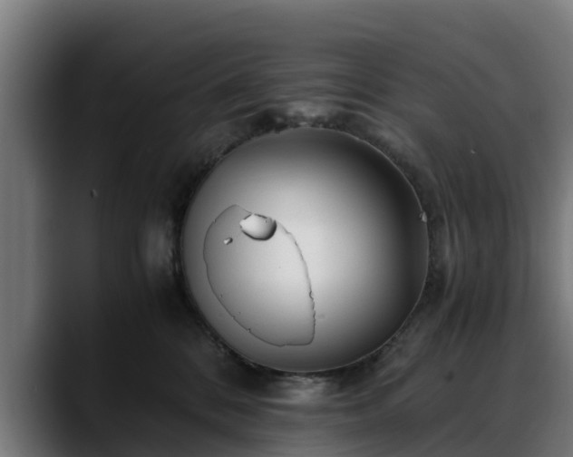 X0000088460328200705291535