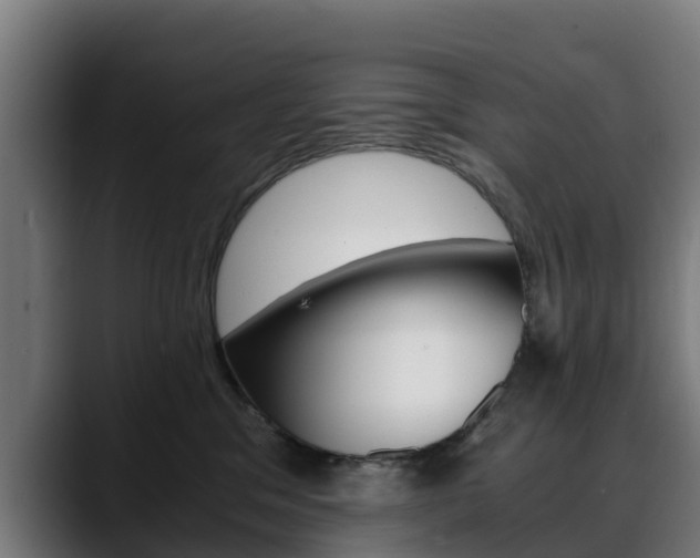 X0000088460329200705291535