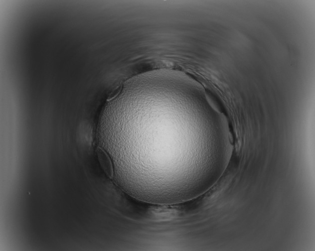 X0000088460331200705291535