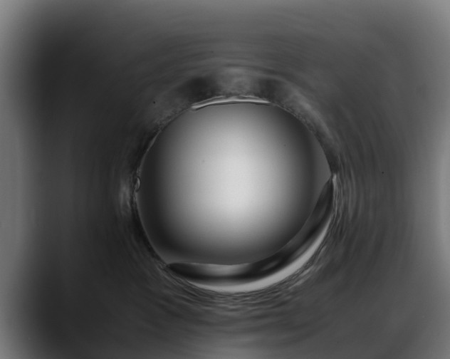 X0000088460333200705291535