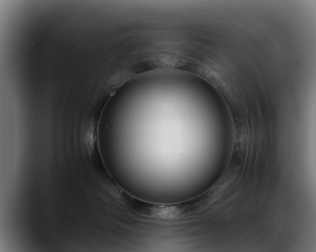 X0000088460334200705291535