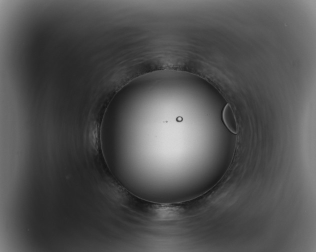 X0000088460336200705291535