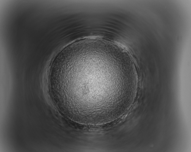 X0000088460337200705291534