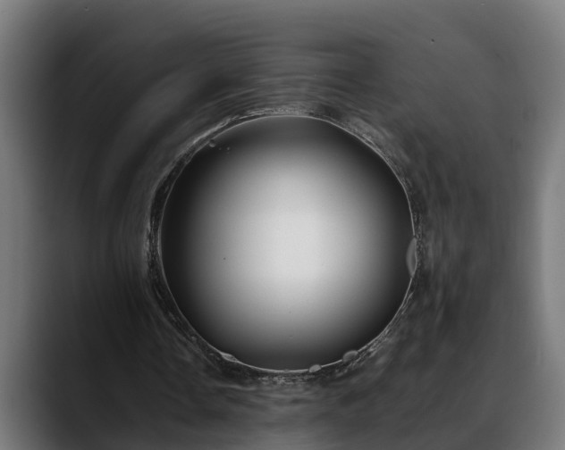 X0000088460338200705291534