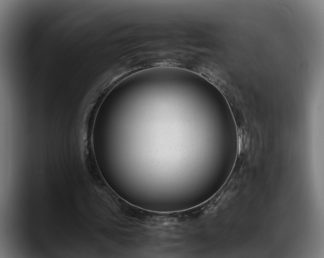 X0000088460339200705291534