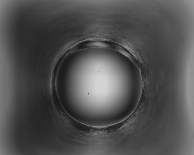 X0000088460340200705291534