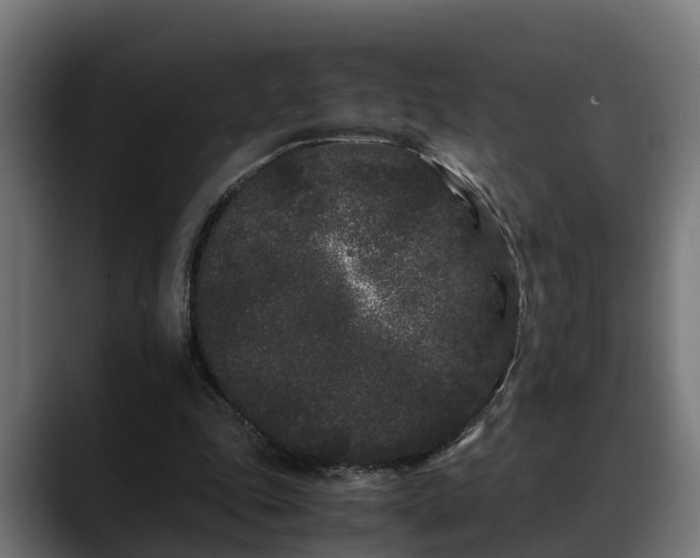 X0000088460343200705291534