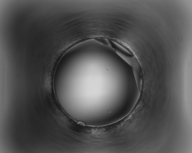 X0000088460345200705291534