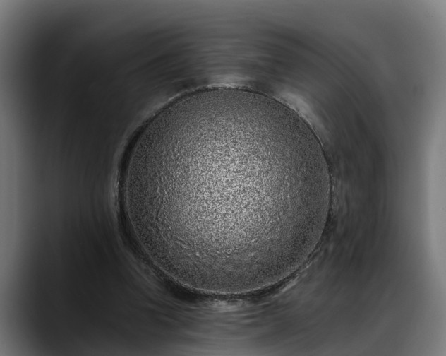 X0000088460346200705291534