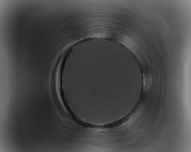 X0000088460348200705291534