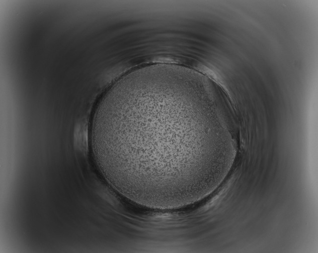 X0000088460349200705291534