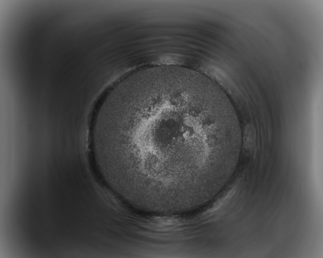 X0000088460351200705291534