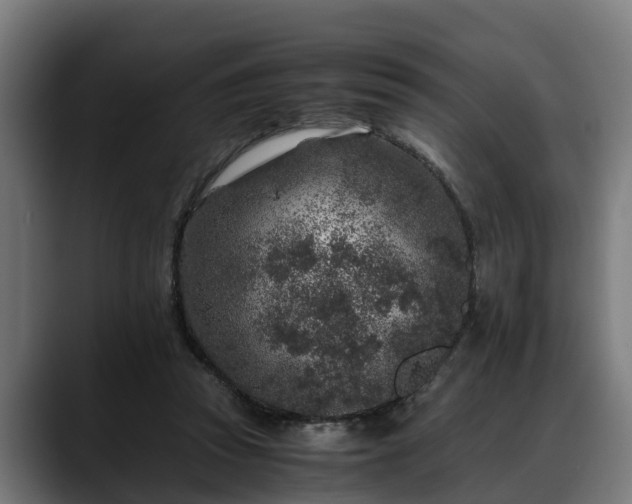 X0000088460353200705291534