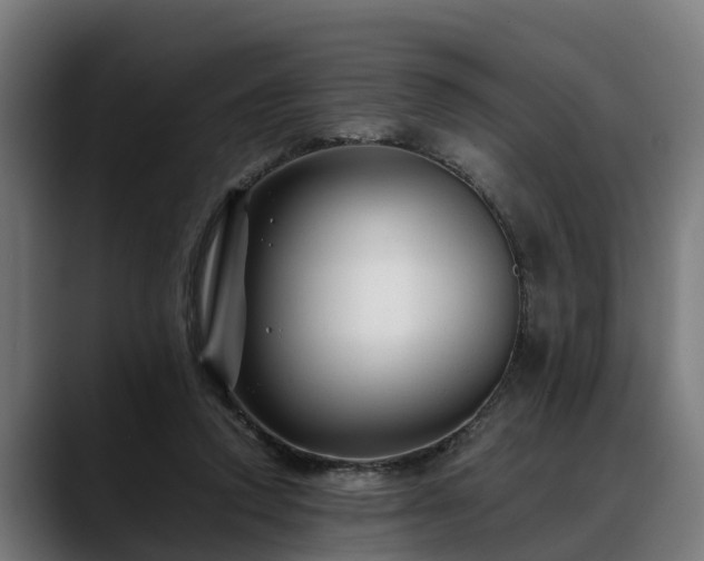 X0000088460354200705291534