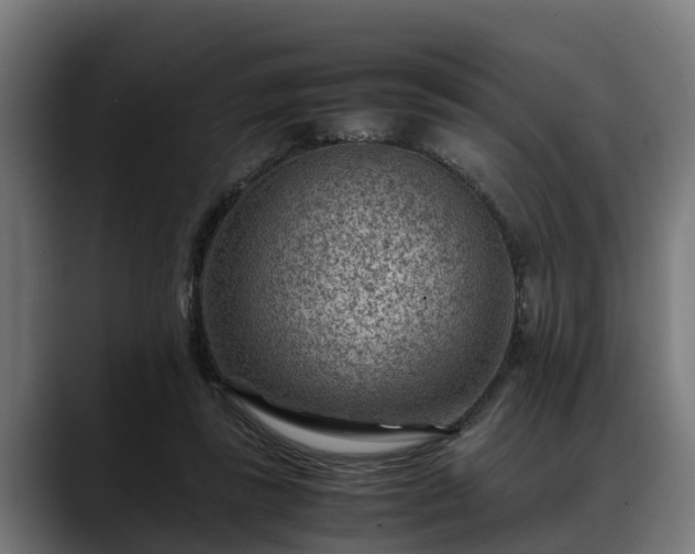 X0000088460355200705291534