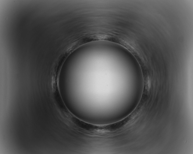 X0000088460360200705291534