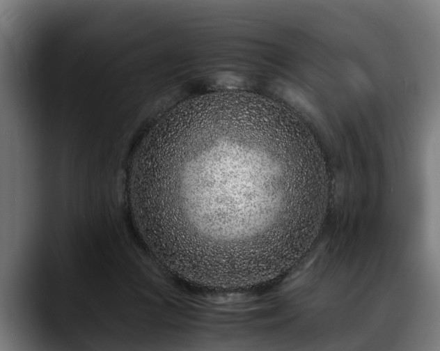 X0000088460361200705291534