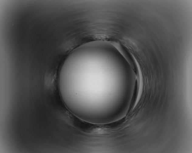 X0000088460364200705291534