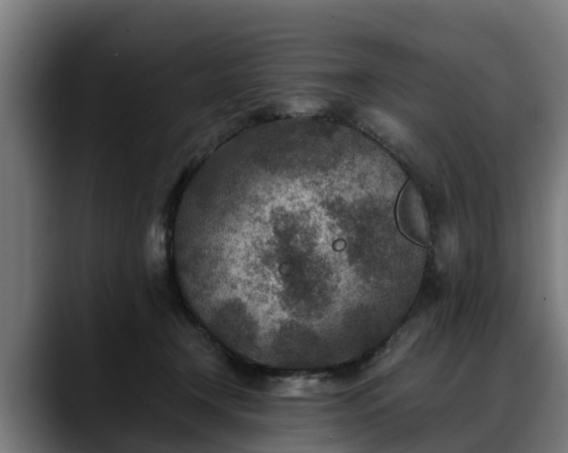 X0000088460366200705291535