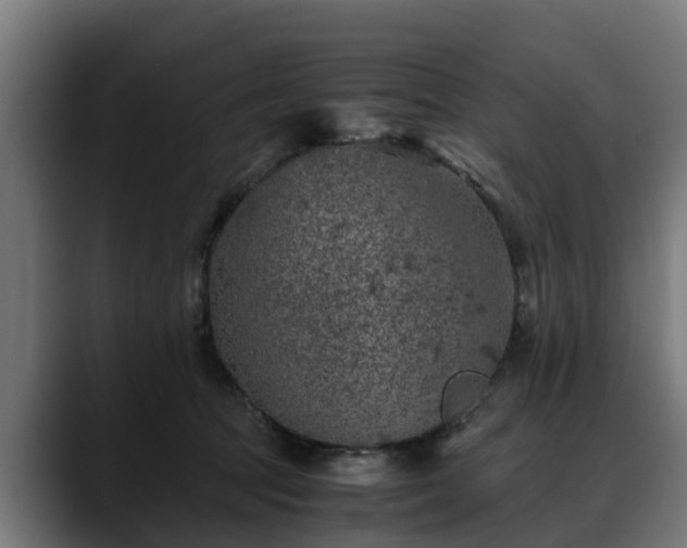 X0000088460369200705291535