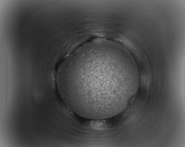 X0000088460373200705291535