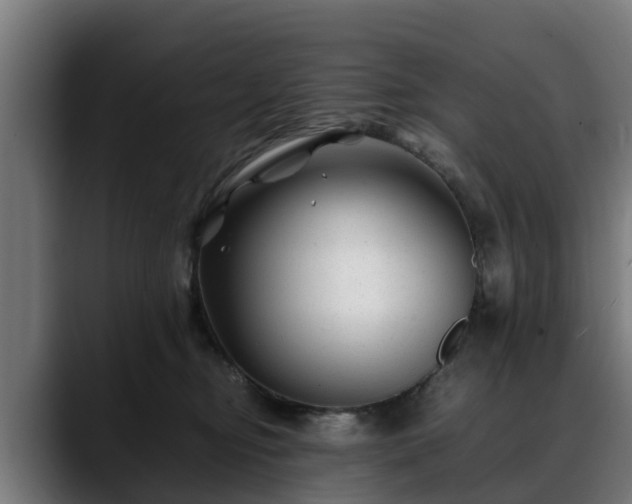 X0000088460374200705291535