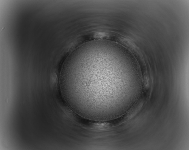 X0000088460375200705291535