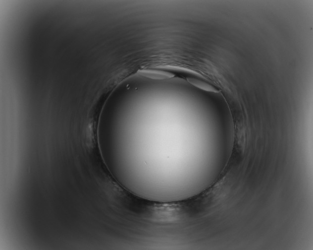 X0000088460378200705291535