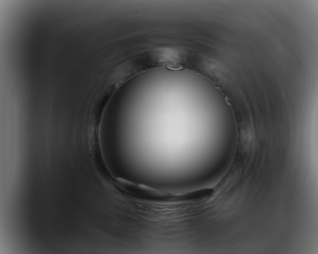 X0000088460379200705291535