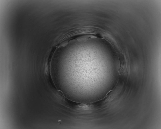 X0000088460381200705291535