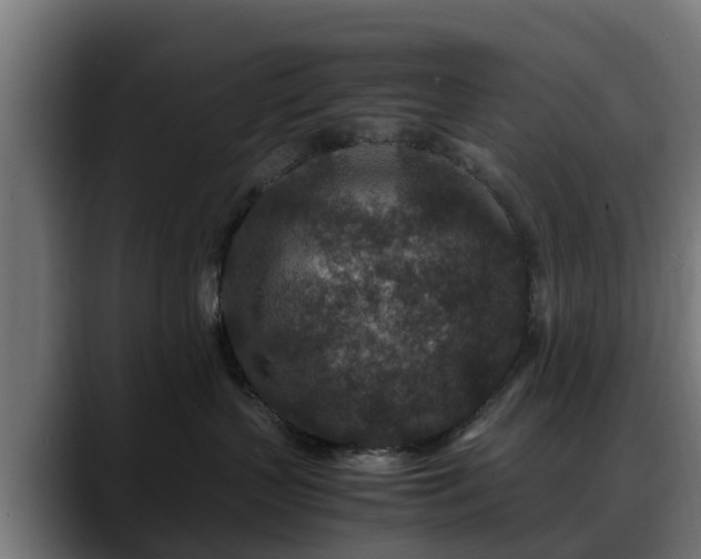 X0000088460383200705291535