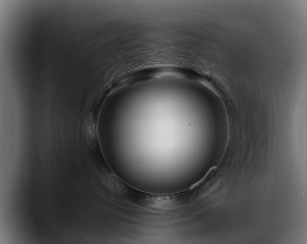 X0000088460384200705291535