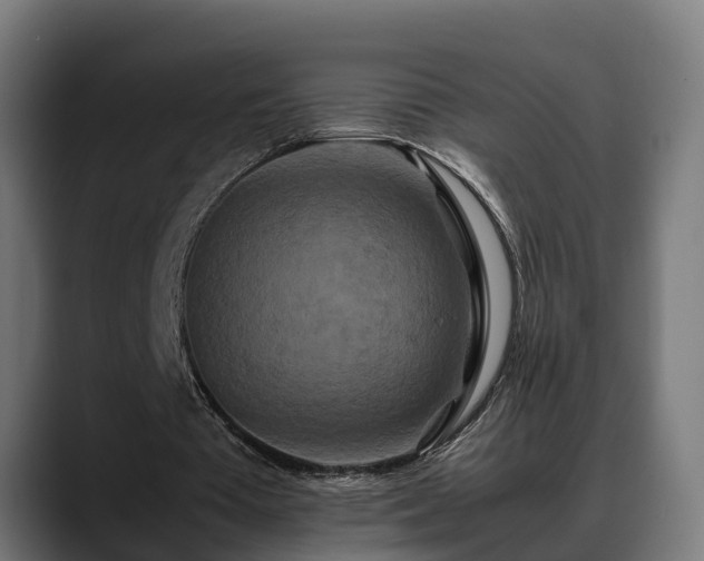 X0000088460385200705291534