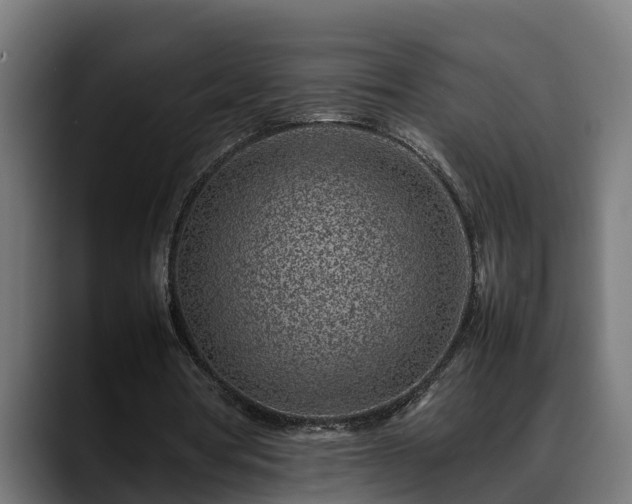 X0000088460386200705291534