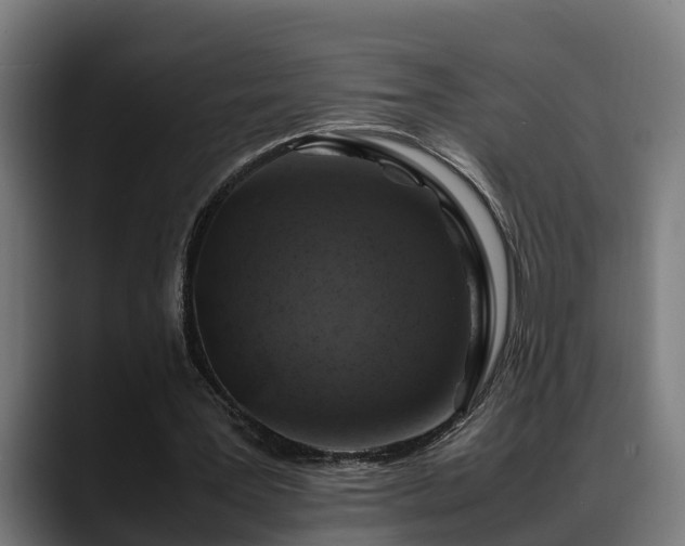 X0000088460387200705291534