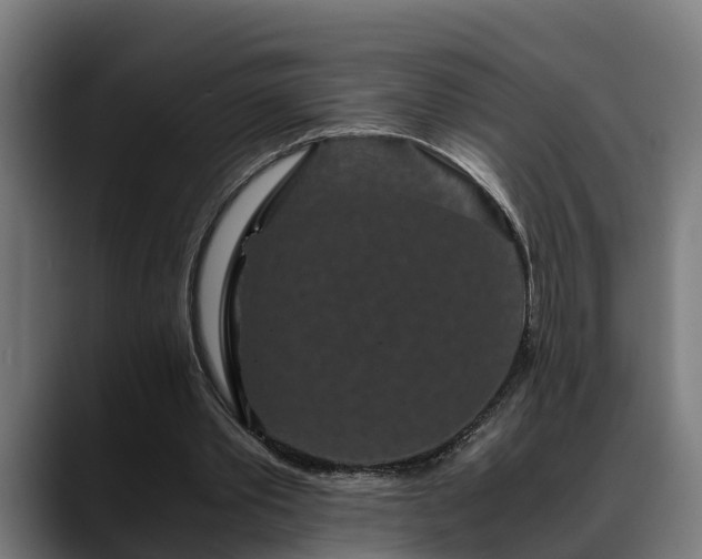 X0000088460389200705291534