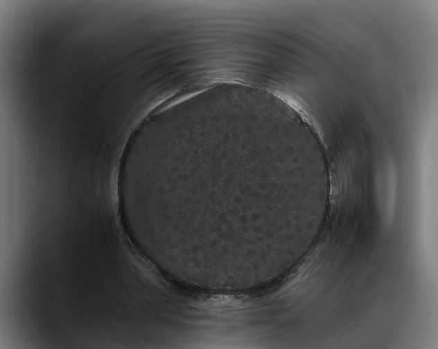 X0000088460390200705291534