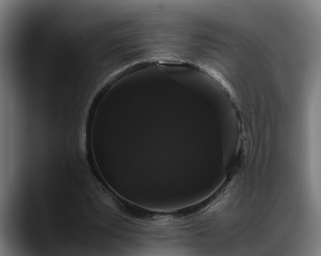 X0000088460391200705291534