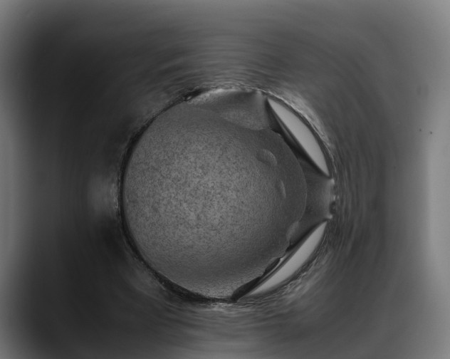 X0000088460393200705291534