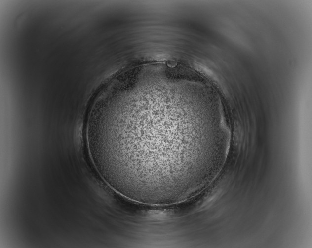 X0000088460394200705291534