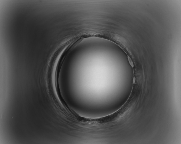 X0000088460395200705291534