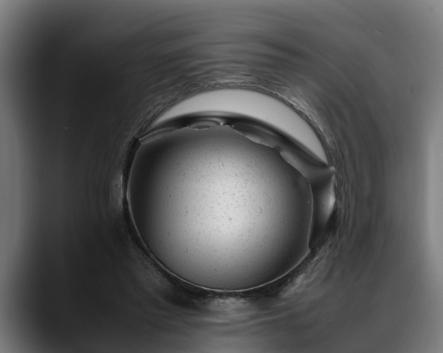 X0000088460397200705291534