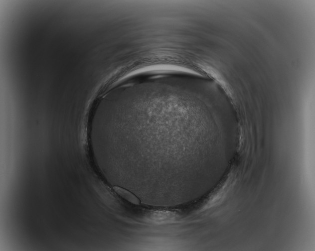 X0000088460399200705291534