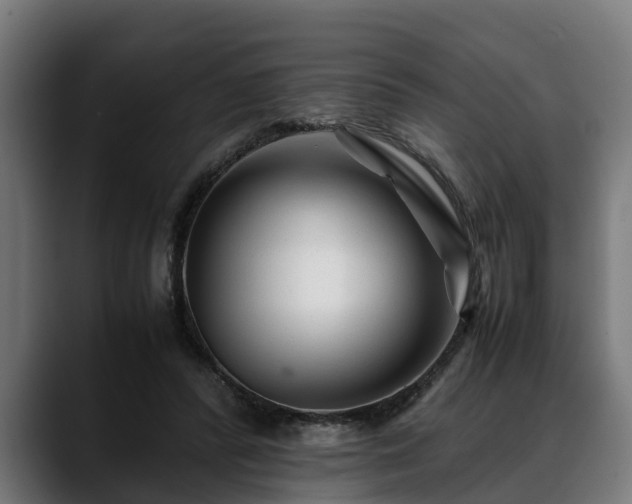 X0000088460400200705291534