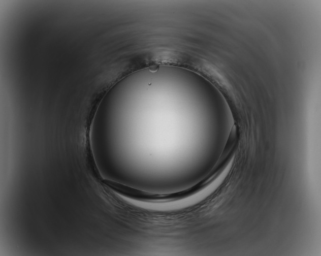 X0000088460401200705291534